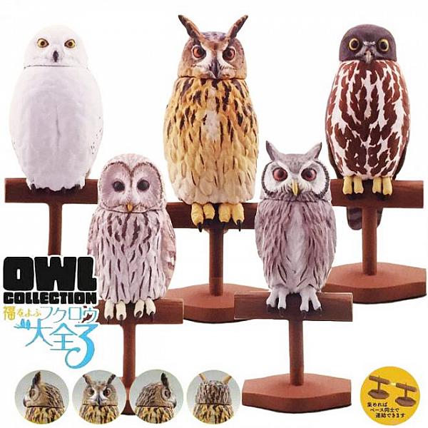 กาชาปอง Owl Collection v.3 เหล่านกฮูกเกาะขอนไม้