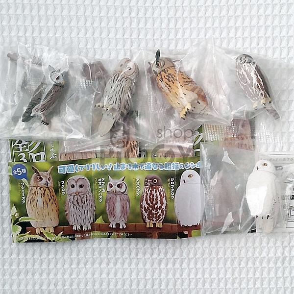 กาชาปอง Owl Collection v.3 เหล่านกฮูกเกาะขอนไม้