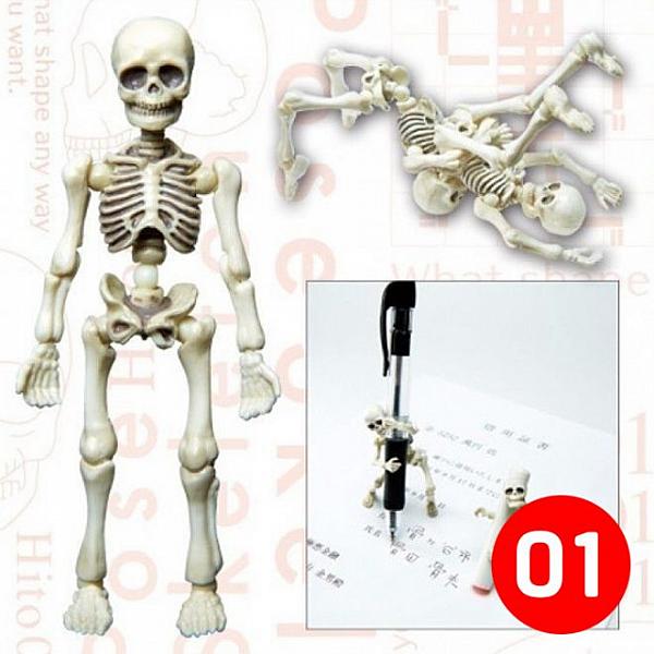 โมเดล Pose Skeleton 01 (Normal) โครงกระดูกมนุษย์ (ปกติ)