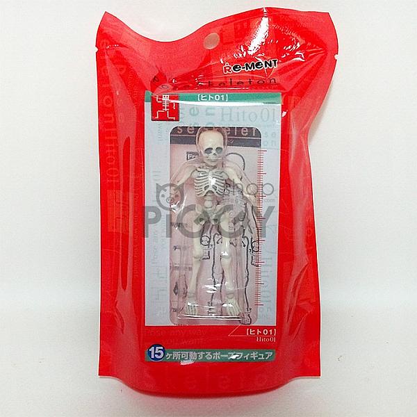 โมเดล Pose Skeleton 01 (Normal) โครงกระดูกมนุษย์ (ปกติ)