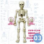 โมเดล Pose Skeleton 03 (BIG) โครงกระดูกมนุษย์ (พี่บิ๊ก)