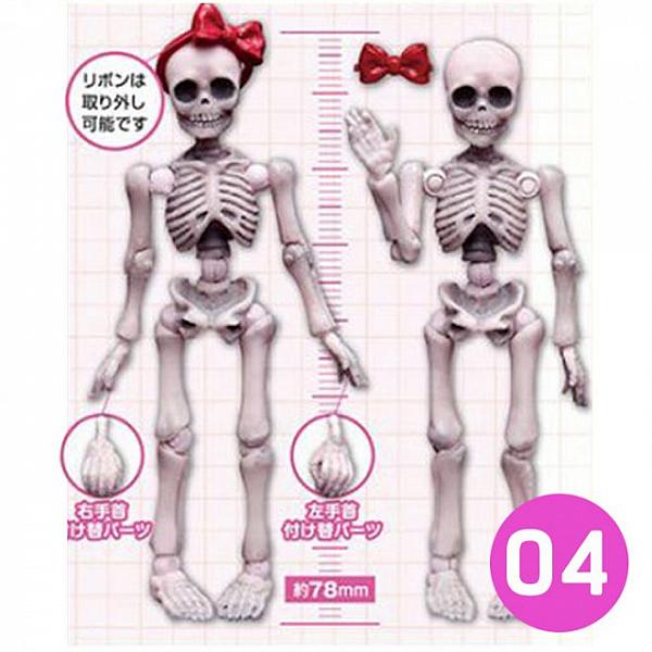 โมเดล Pose Skeleton 04 (Kawaii) โครงกระดูกมนุษย์ (แม่สาวน้อย)