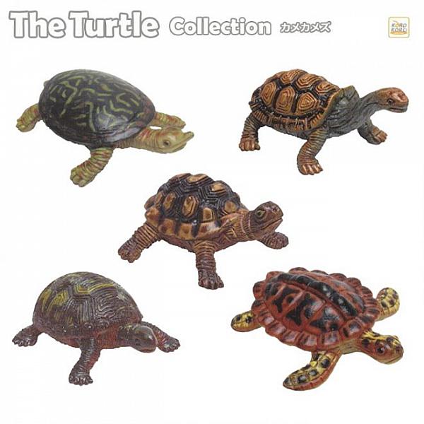 กาชาปอง Kame Kame Turtle Figure Collection