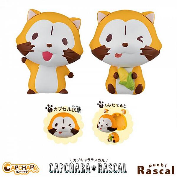 กาชาปอง Rascal the Raccoon Capchara แรคคูนหัวไข่ (S2)