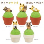 กาชาปอง Racoon & Fox Potted Figure กระถางทานูกิคิสึเนะ