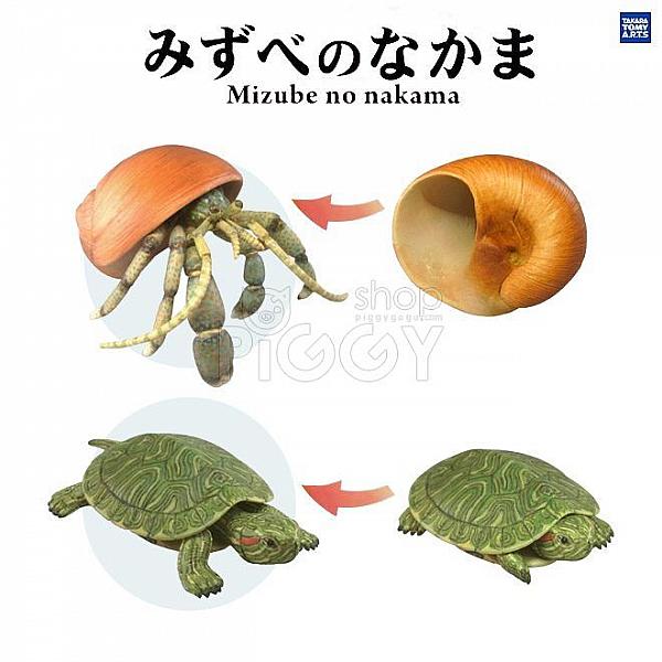 กาชาปอง Aquatic Animals Mizube no Nakama เหล่าสัตว์น้ำ (S2)