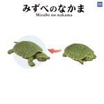กาชาปอง Aquatic Animals Mizube no Nakama (เต่าญี่ปุ่น)