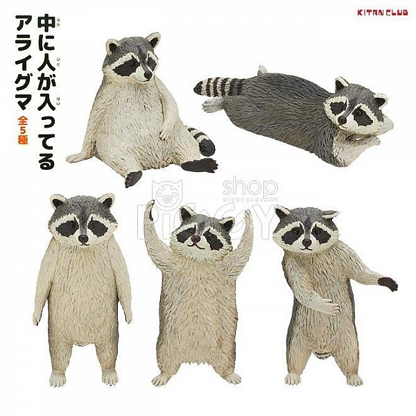 กาชาปอง Raccoon Posing Miniature Figure Collection