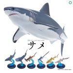 กาชาปอง Shark Figure Nature Techni Colour 400 Collection
