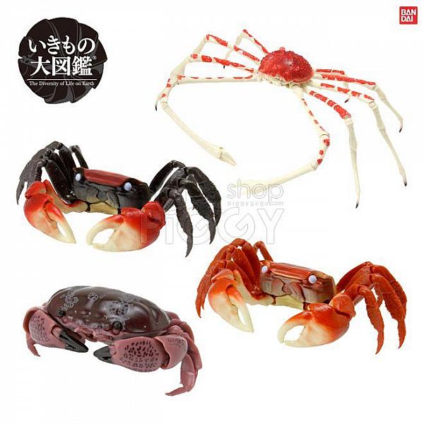 กาชาปอง Kani Crab Capsule v.2 Japanese Spider Crab