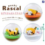 กาชาปอง Puchi Rascal the Raccoon Caprium Collection