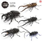 กาชาปอง Stag Beetles Kuwagata 04 Capsule Figure