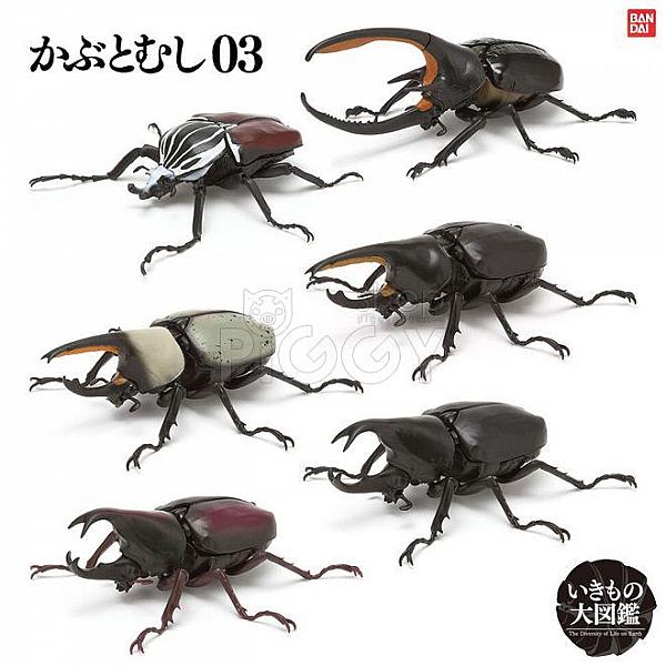 กาชาปอง Beetle Living Creatures 03 Encyclopedia Figure