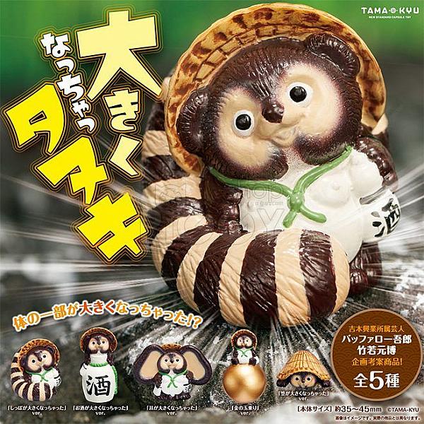 กาชาปอง Tanuki Special Size Raccoon Dog Figure