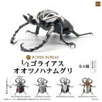 Gashapon Goliathus 1/1 Figure Animalier Collection