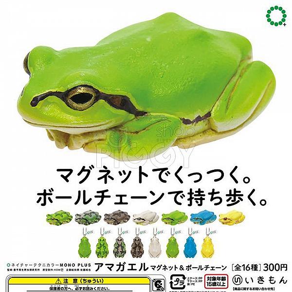กาชาปอง Tree Frog Magnet & Ball Chain Collection