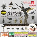 กาชาปอง Insect 03 Mini Figure Collection Bandai