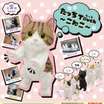 กาชาปอง Touch Koneko Kitten Figure Collection