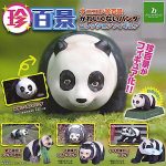 กาชาปอง Uncute Panda Figure Collection