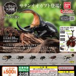 กาชาปอง Beetle Living Creatures 05 Encyclopedia Figure