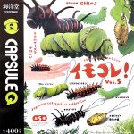 กาชาปอง Japanese Caterpillar v.5 Capsule Q Museum