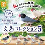 กาชาปอง Java Sparrow v.5 Bunchou Collection