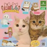 กาชาปอง Niboshira Munchkin Cat Figure Collection