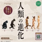กาชาปอง Human Evolution Figure TAMA-KYU