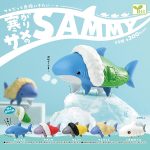 กาชาปอง SAMMY Cold Shark Figure Collection