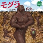 กาชาปอง The Mole Truth Underground Figure Collection