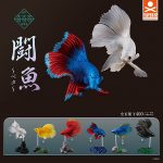 กาชาปอง Fighting Fish Betta Figure Collection