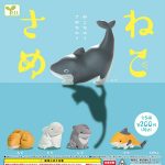 กาชาปอง Neko Same Shark Cat Figure Collection