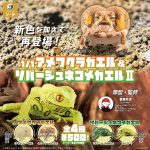 กาชาปอง Breviceps Adspersus Waxy Monkey Tree Frog v.2