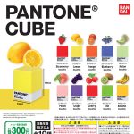 กาชาปอง PANTONE CUBE Figure Collection