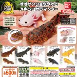 กาชาปอง Giant Salamander & Mexican Salamander