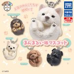 กาชาปอง Manmaru Inu Dog Animal Collection