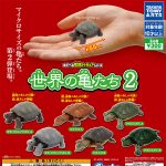 กาชาปอง Turtles of the World Playable Figure v.2