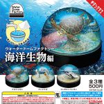 กาชาปอง Water Dome Factory Marine Life Collection