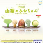 กาชาปอง Baby Wild Plants Fig. Figure Collection