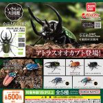 กาชาปอง Beetle Living Creatures 06 Encyclopedia Figure