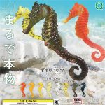 กาชาปอง Great Seahorse Figure Collection