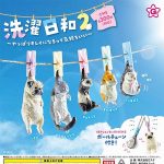 กาชาปอง Freshy Pet Hang Dry v.2 Figure Collection