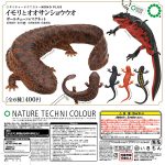 กาชาปอง Newt & Giant Salamander Ball Chain & Magnet