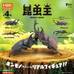 กาชาปอง Beetle Insect King Figure Collection