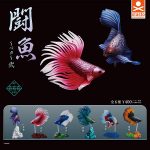 กาชาปอง Fighting Fish Betta Figure Collection v.2