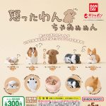กาชาปอง Angry Dog Okotta Wanchan Mini Figure