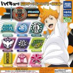 กาชาปอง Haikyu!! High School Motif Pin Badge Miyagi