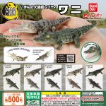 กาชาปอง Crocodile Ikimono Encyclopedia Reptile