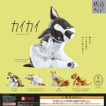 กาชาปอง KaiKai Itchy Dog Figure Collection