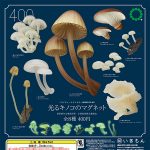 กาชาปอง Glowing Mushroom Magnet Collection
